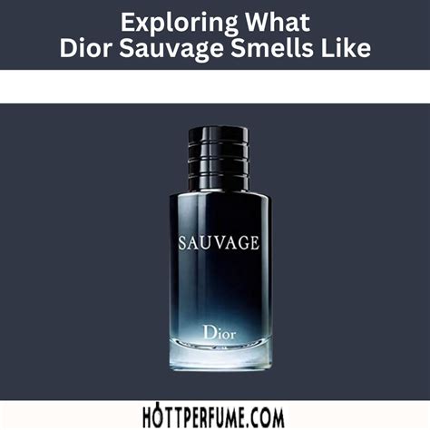 sauvage dior pack|what does dior sauvage smell like.